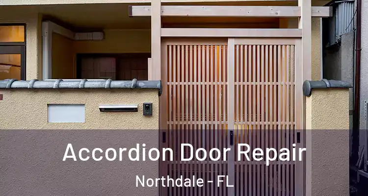 Accordion Door Repair Northdale - FL