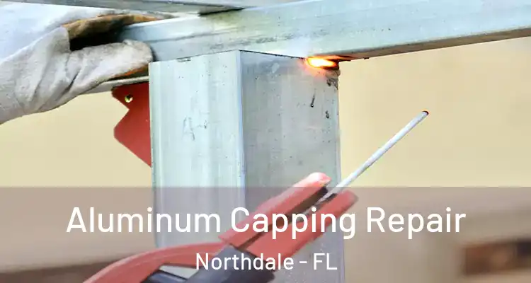 Aluminum Capping Repair Northdale - FL