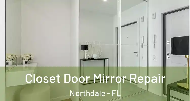 Closet Door Mirror Repair Northdale - FL
