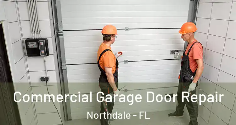 Commercial Garage Door Repair Northdale - FL
