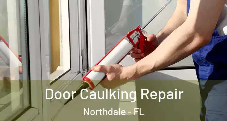 Door Caulking Repair Northdale - FL