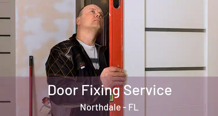 Door Fixing Service Northdale - FL