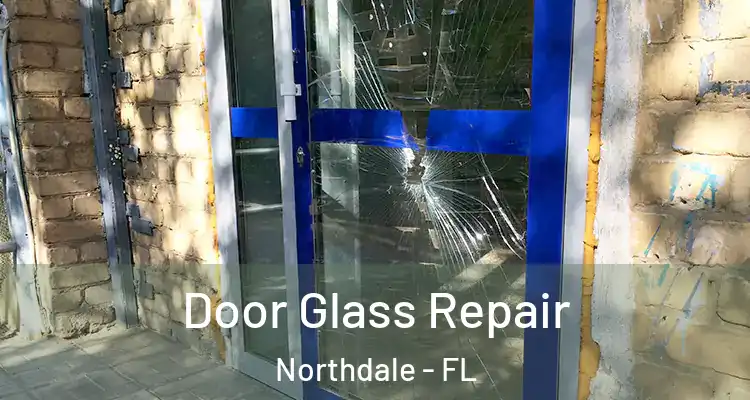 Door Glass Repair Northdale - FL