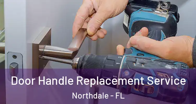 Door Handle Replacement Service Northdale - FL