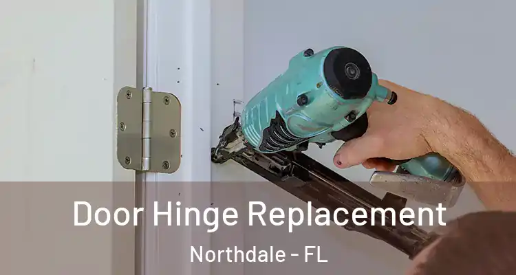 Door Hinge Replacement Northdale - FL