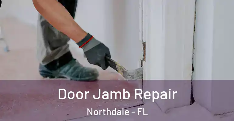 Door Jamb Repair Northdale - FL