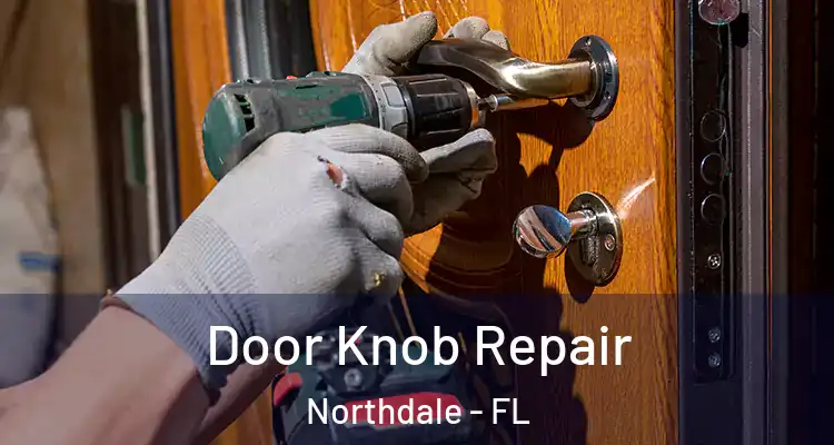 Door Knob Repair Northdale - FL