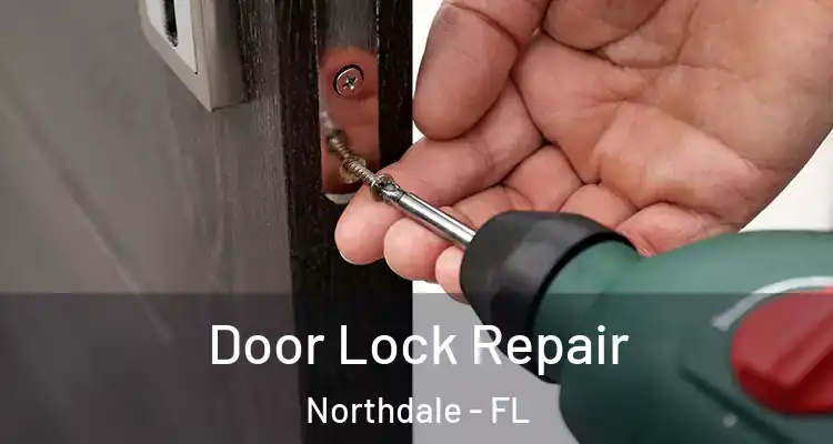 Door Lock Repair Northdale - FL