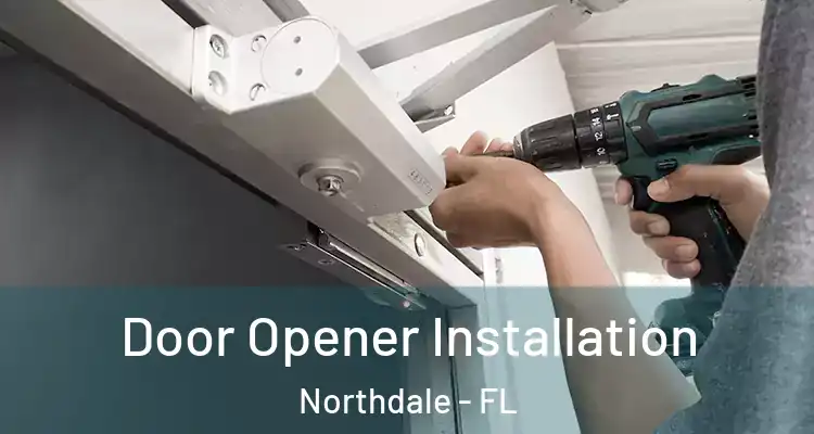 Door Opener Installation Northdale - FL