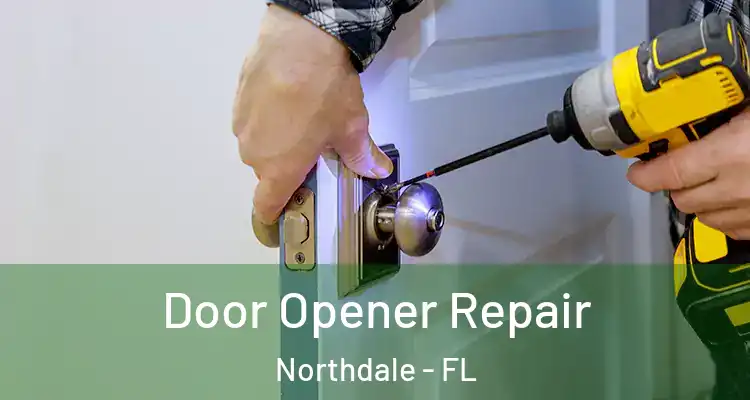 Door Opener Repair Northdale - FL