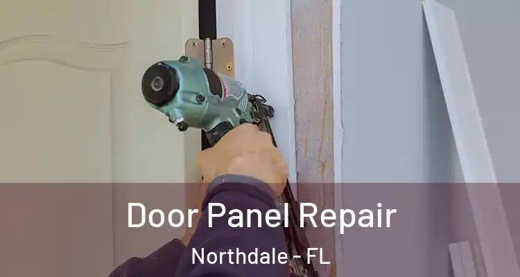 Door Panel Repair Northdale - FL