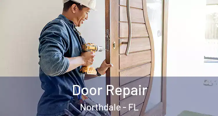 Door Repair Northdale - FL