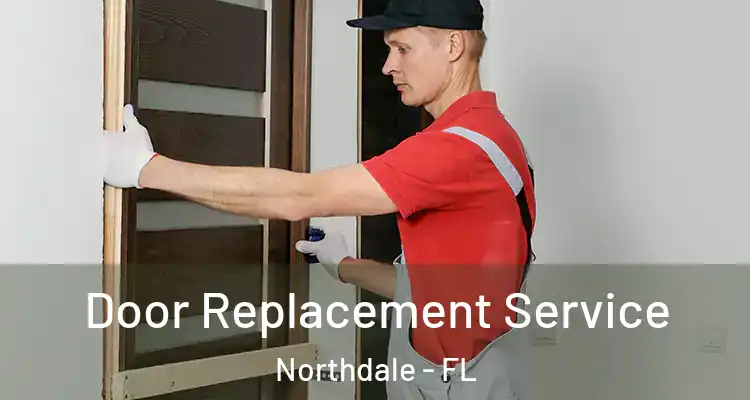 Door Replacement Service Northdale - FL