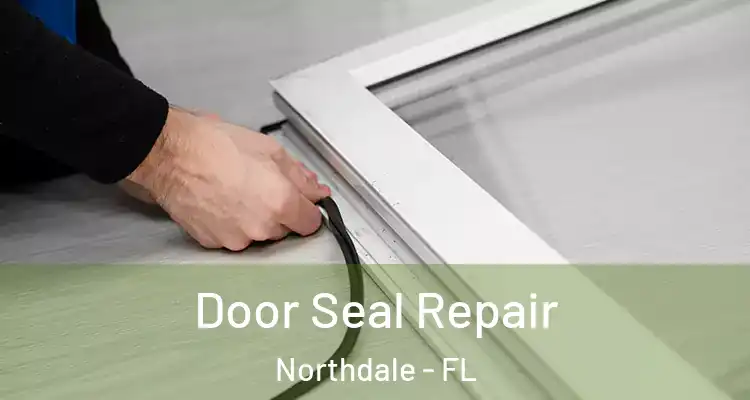 Door Seal Repair Northdale - FL