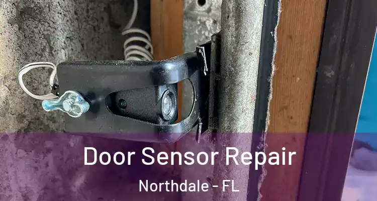 Door Sensor Repair Northdale - FL