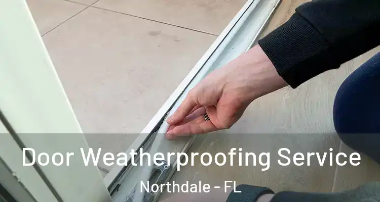 Door Weatherproofing Service Northdale - FL