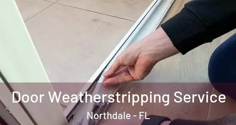 Door Weatherstripping Service Northdale - FL