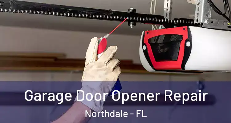 Garage Door Opener Repair Northdale - FL