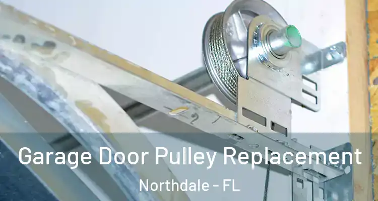  Garage Door Pulley Replacement Northdale - FL