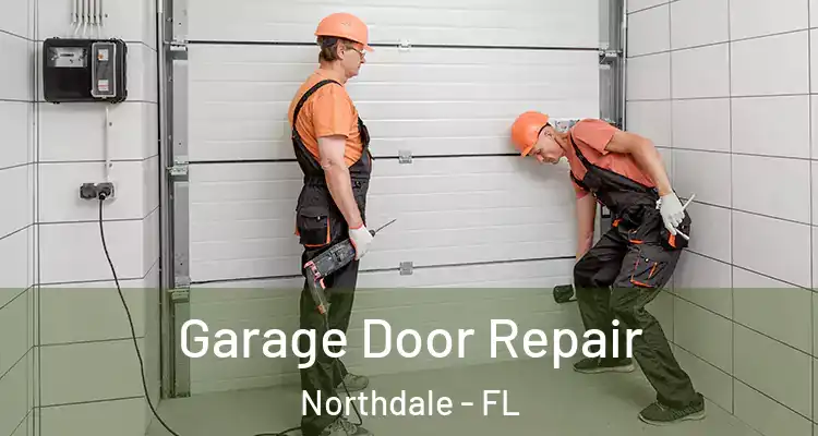 Garage Door Repair Northdale - FL