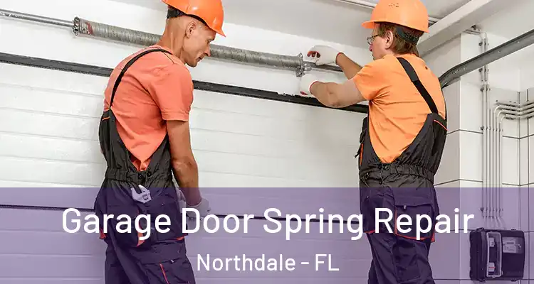 Garage Door Spring Repair Northdale - FL