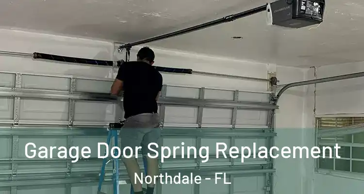 Garage Door Spring Replacement Northdale - FL