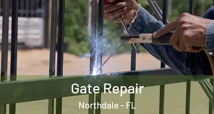 Gate Repair Northdale - FL