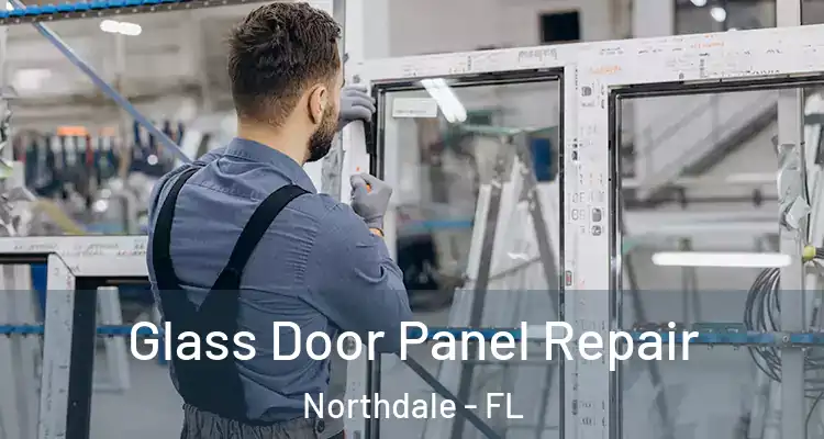 Glass Door Panel Repair Northdale - FL