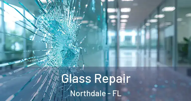 Glass Repair Northdale - FL