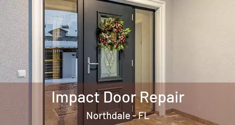 Impact Door Repair Northdale - FL