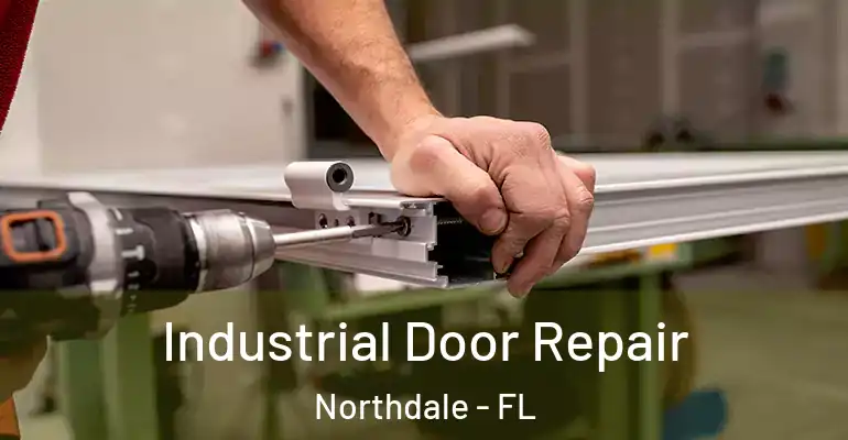 Industrial Door Repair Northdale - FL