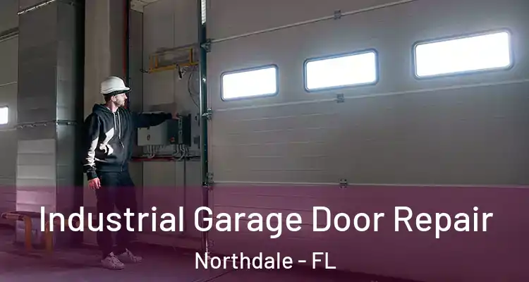 Industrial Garage Door Repair Northdale - FL