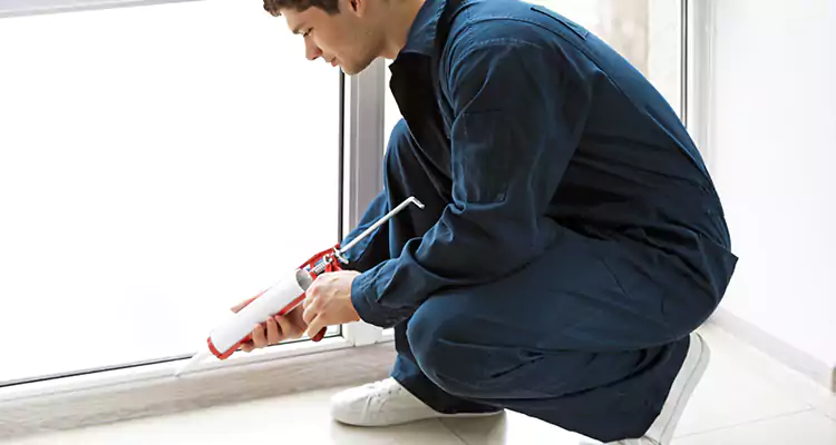 Window Glass Caulk Repair in Northdale, FL