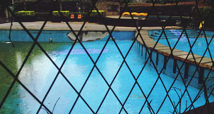 Lanai Screen Repair in Northdale, FL