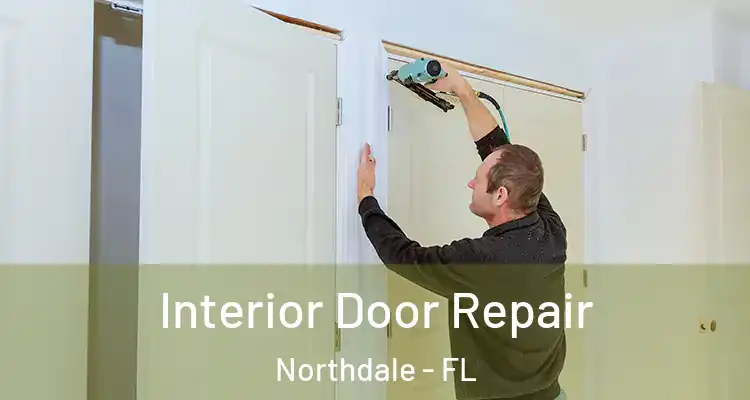 Interior Door Repair Northdale - FL