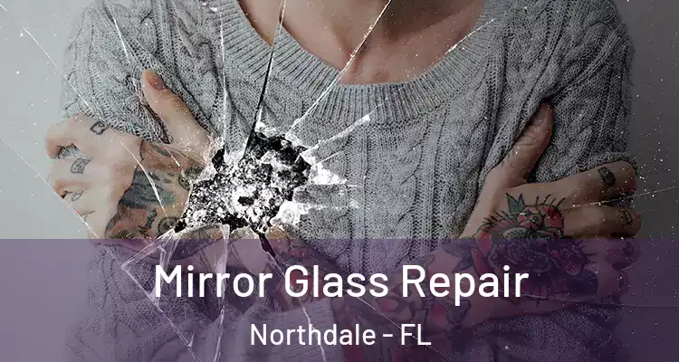 Mirror Glass Repair Northdale - FL
