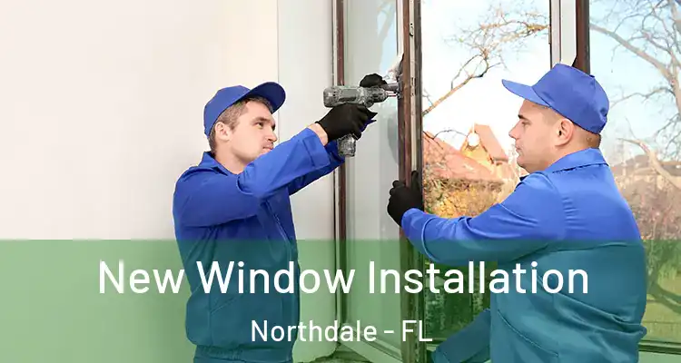New Window Installation Northdale - FL