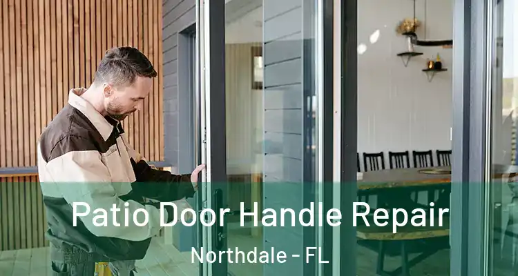 Patio Door Handle Repair Northdale - FL