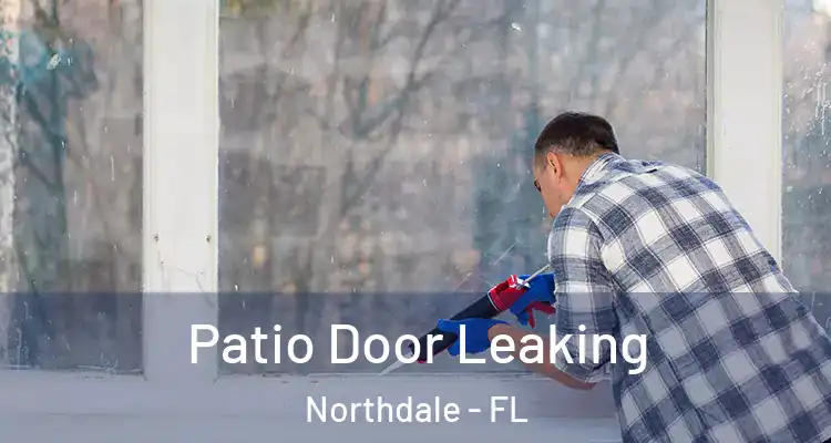  Patio Door Leaking Northdale - FL
