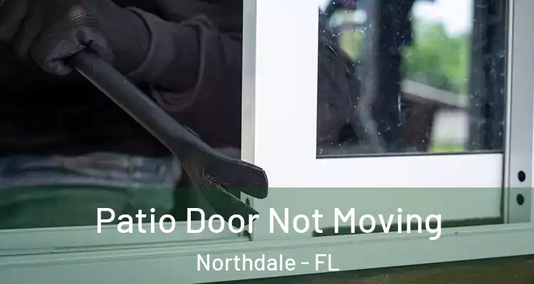 Patio Door Not Moving Northdale - FL