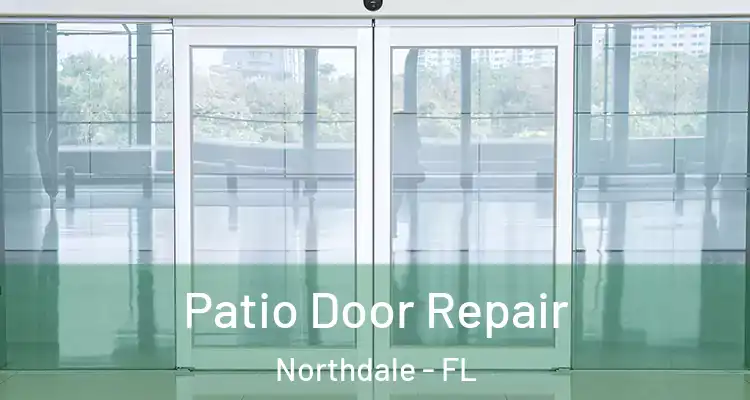 Patio Door Repair Northdale - FL