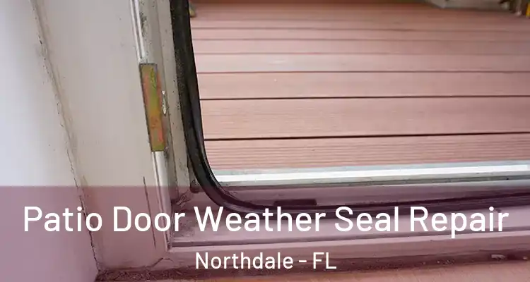 Patio Door Weather Seal Repair Northdale - FL