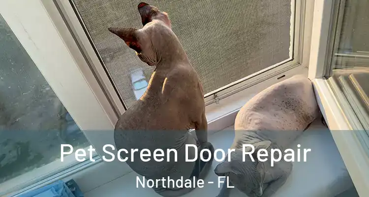 Pet Screen Door Repair Northdale - FL