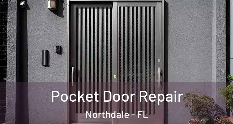 Pocket Door Repair Northdale - FL