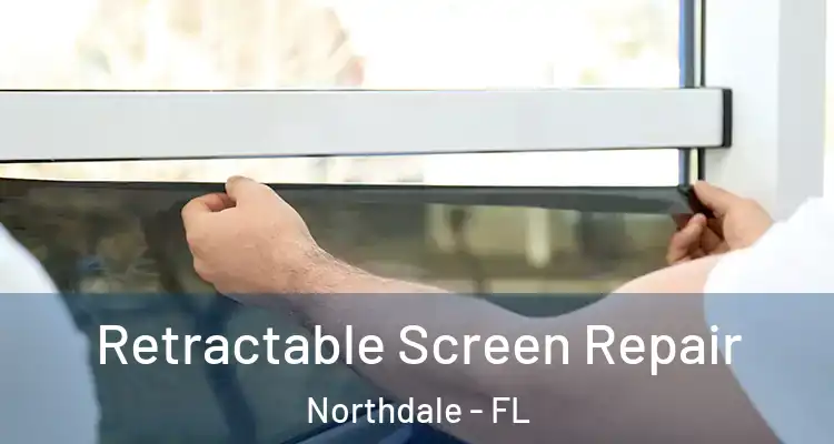 Retractable Screen Repair Northdale - FL
