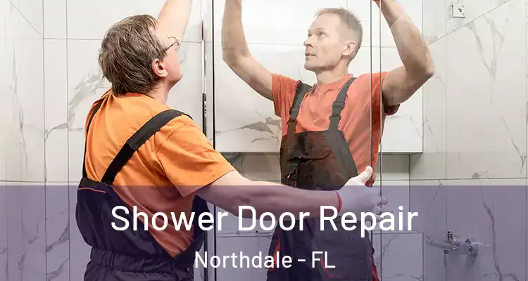 Shower Door Repair Northdale - FL