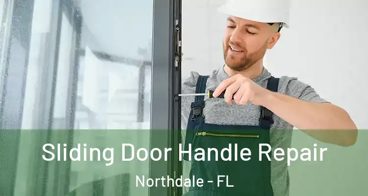 Sliding Door Handle Repair Northdale - FL