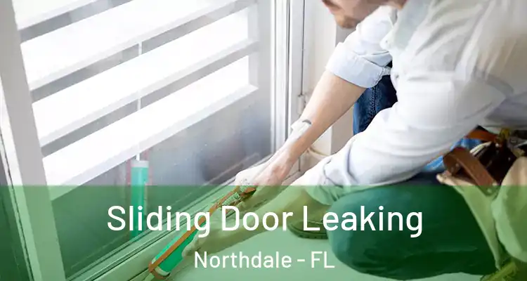 Sliding Door Leaking Northdale - FL