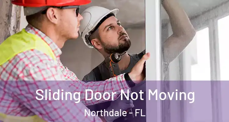 Sliding Door Not Moving Northdale - FL