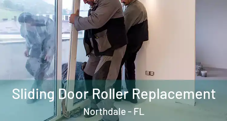  Sliding Door Roller Replacement Northdale - FL